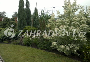 Zahrada rodinného domu, Petrovice u Karviné.